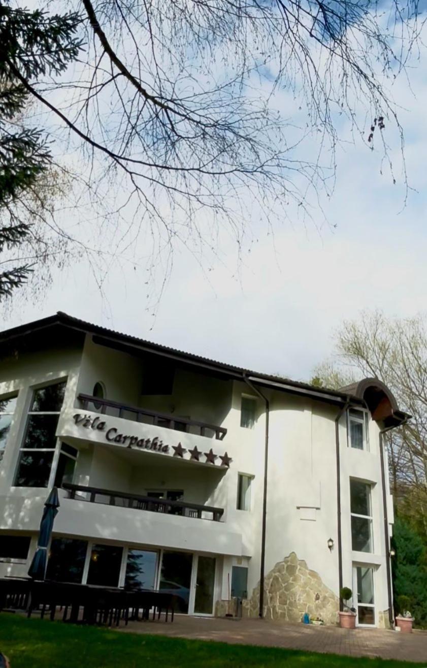 Vila Carpathia Bran  Extérieur photo