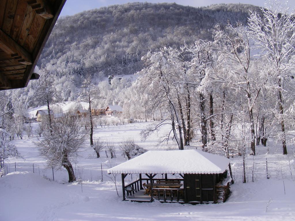 Vila Carpathia Bran  Extérieur photo